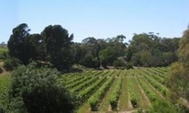 Stonewell Cottages And Vineyards Tanunda Exterior photo