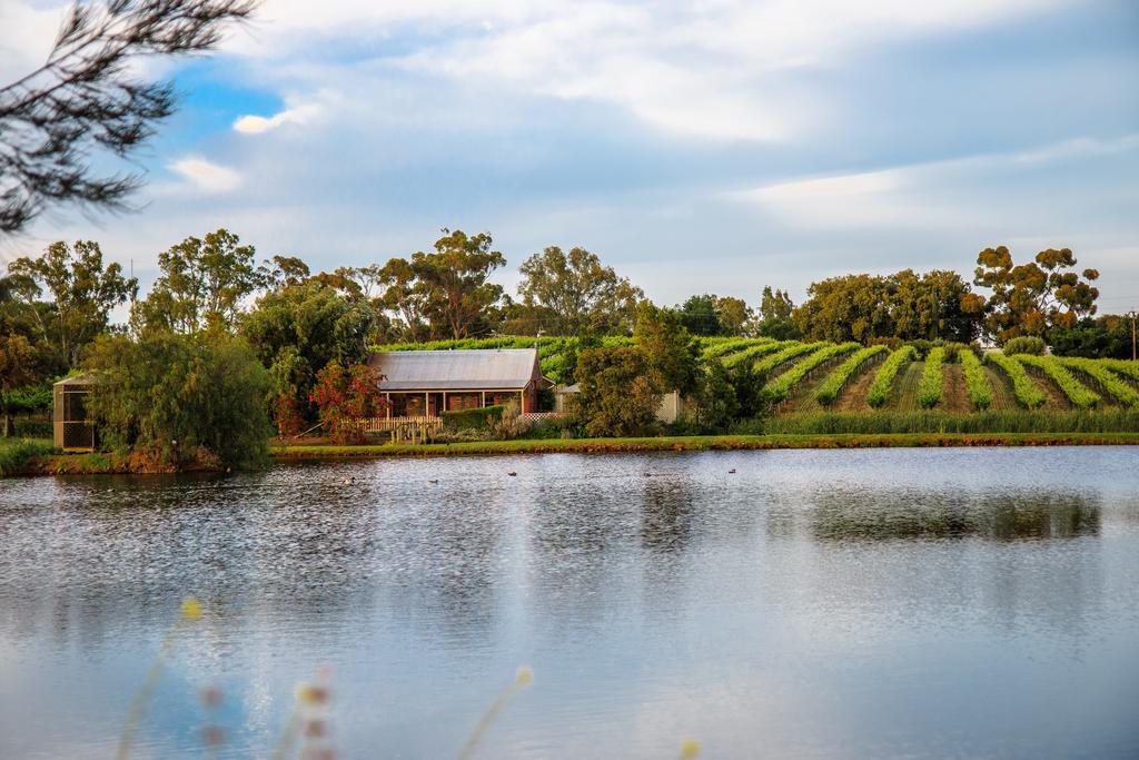 Stonewell Cottages And Vineyards Tanunda Exterior photo