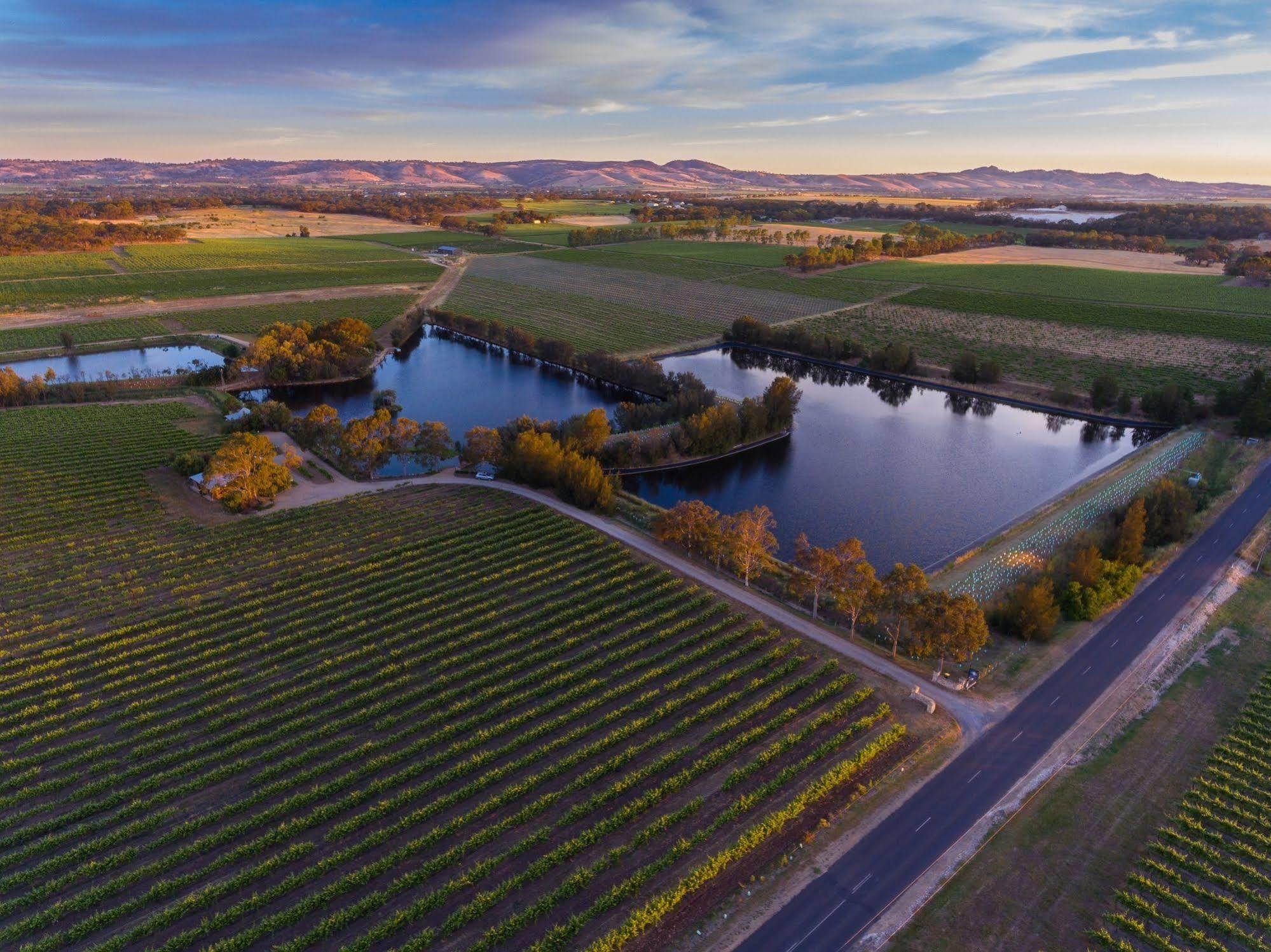 Stonewell Cottages And Vineyards Tanunda Exterior photo