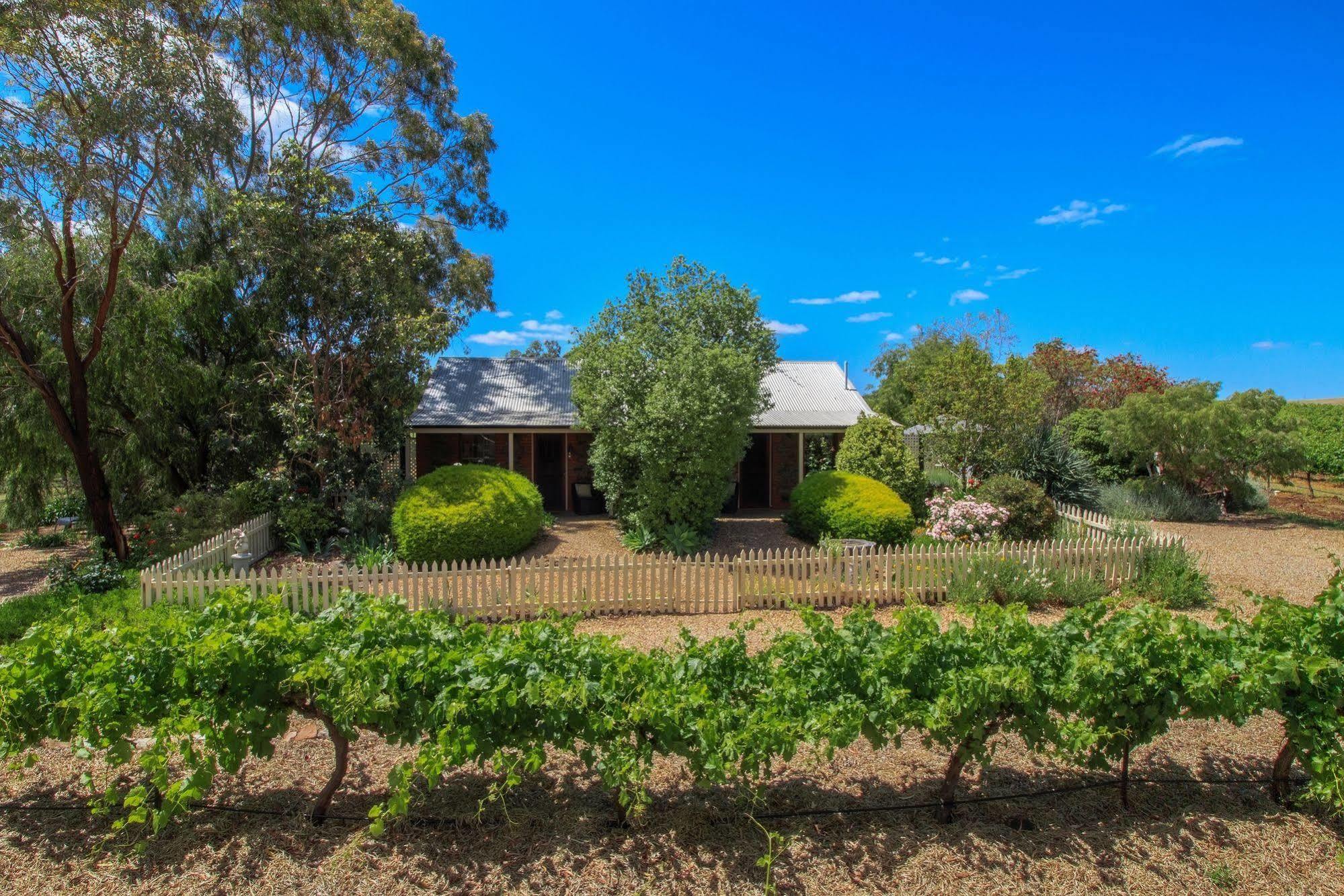 Stonewell Cottages And Vineyards Tanunda Exterior photo